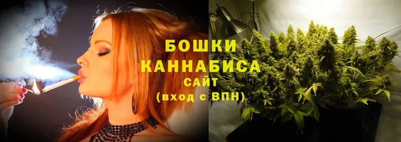 где купить наркотик  Михайловск  Бошки марихуана Ganja 